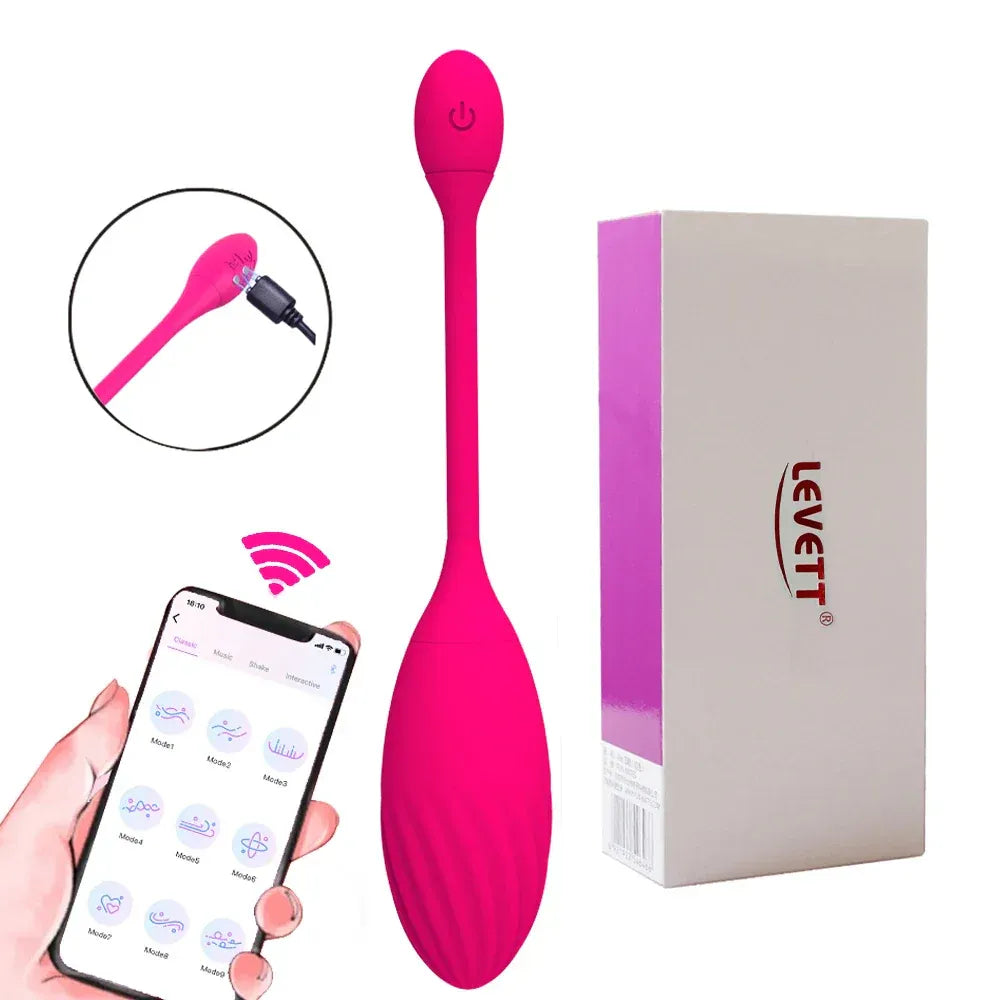 Electric Shock Kegel Ball Vibrator For Women